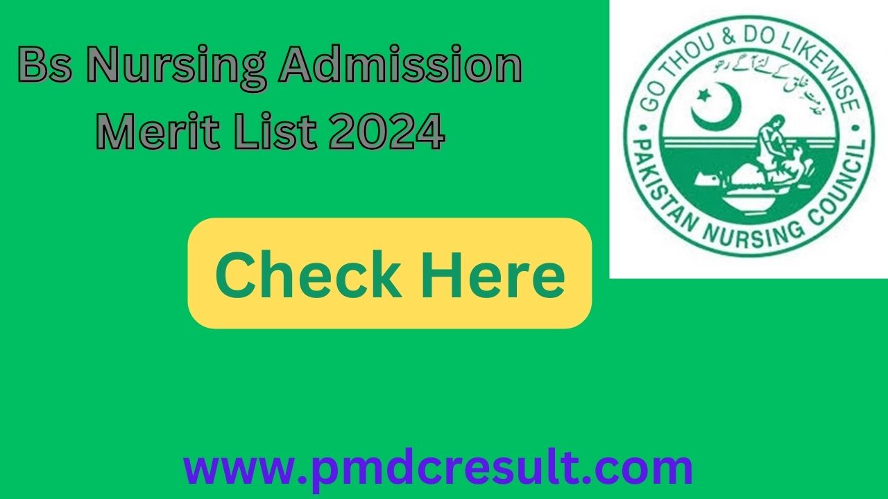 BS Nursing College Admission 1st-2nd Merit List