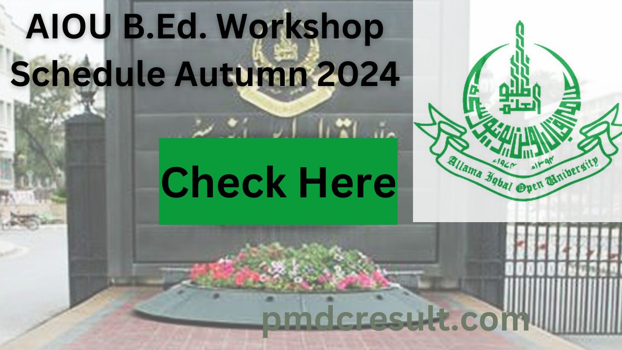 AIOU Workshop Schedule