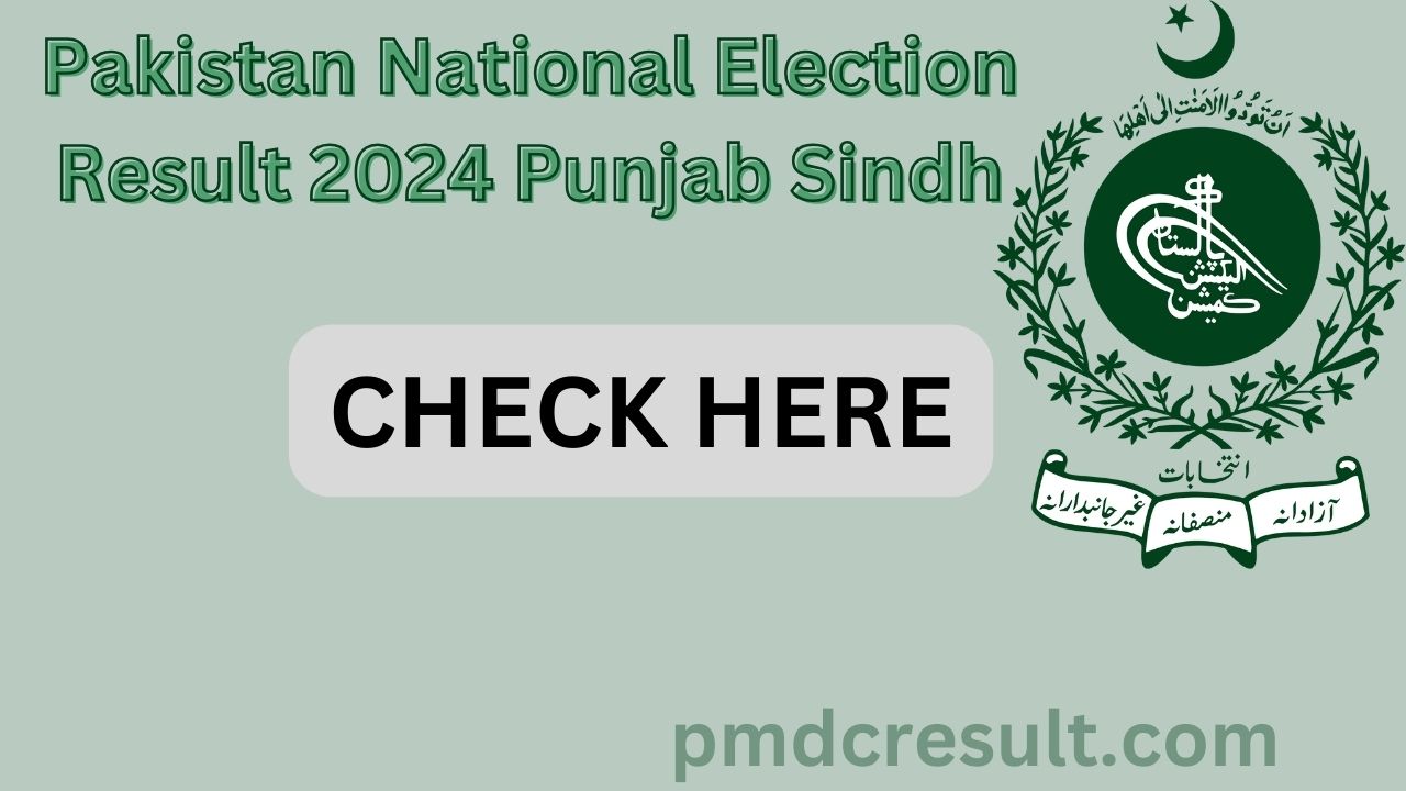 Pakistan National Election Result