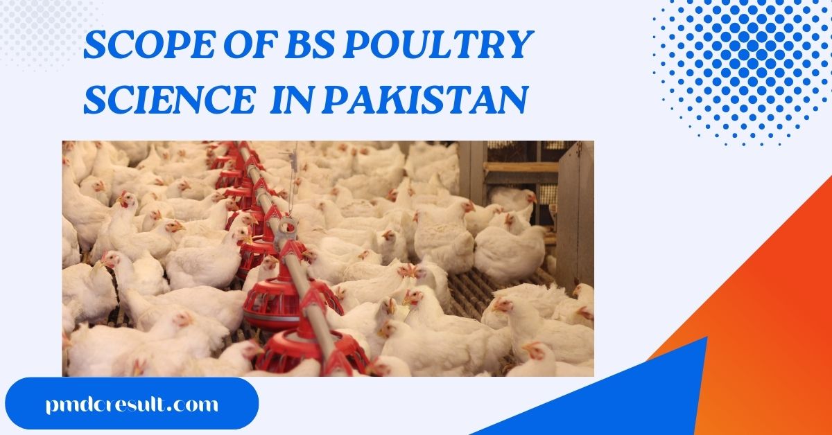 Bs Poultry Science Scope In Pakistan